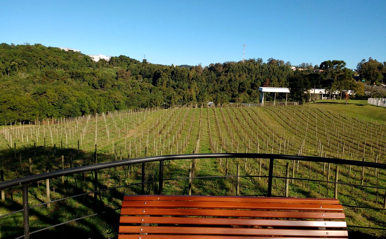 vinicola chandon