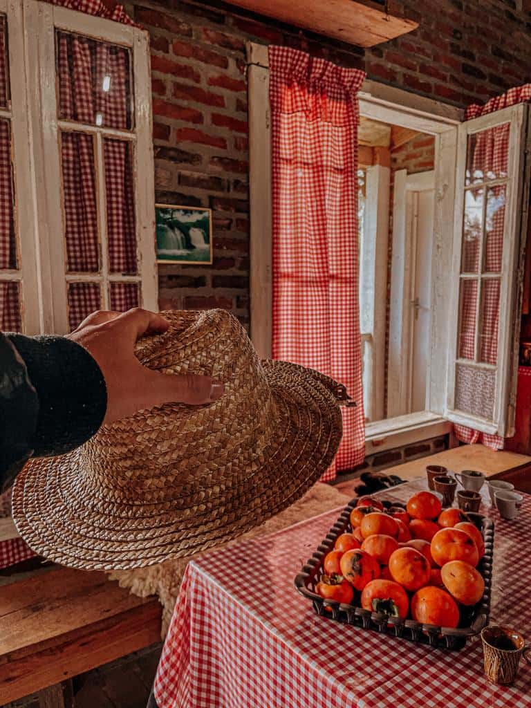 chapéu de palha sendo segurado e uma mesa com frutas