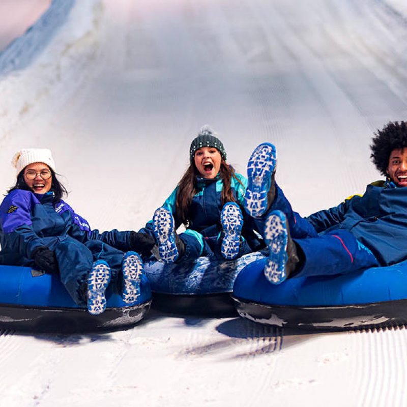 diversao-no-snowland diversão no parque de gelo Gramado